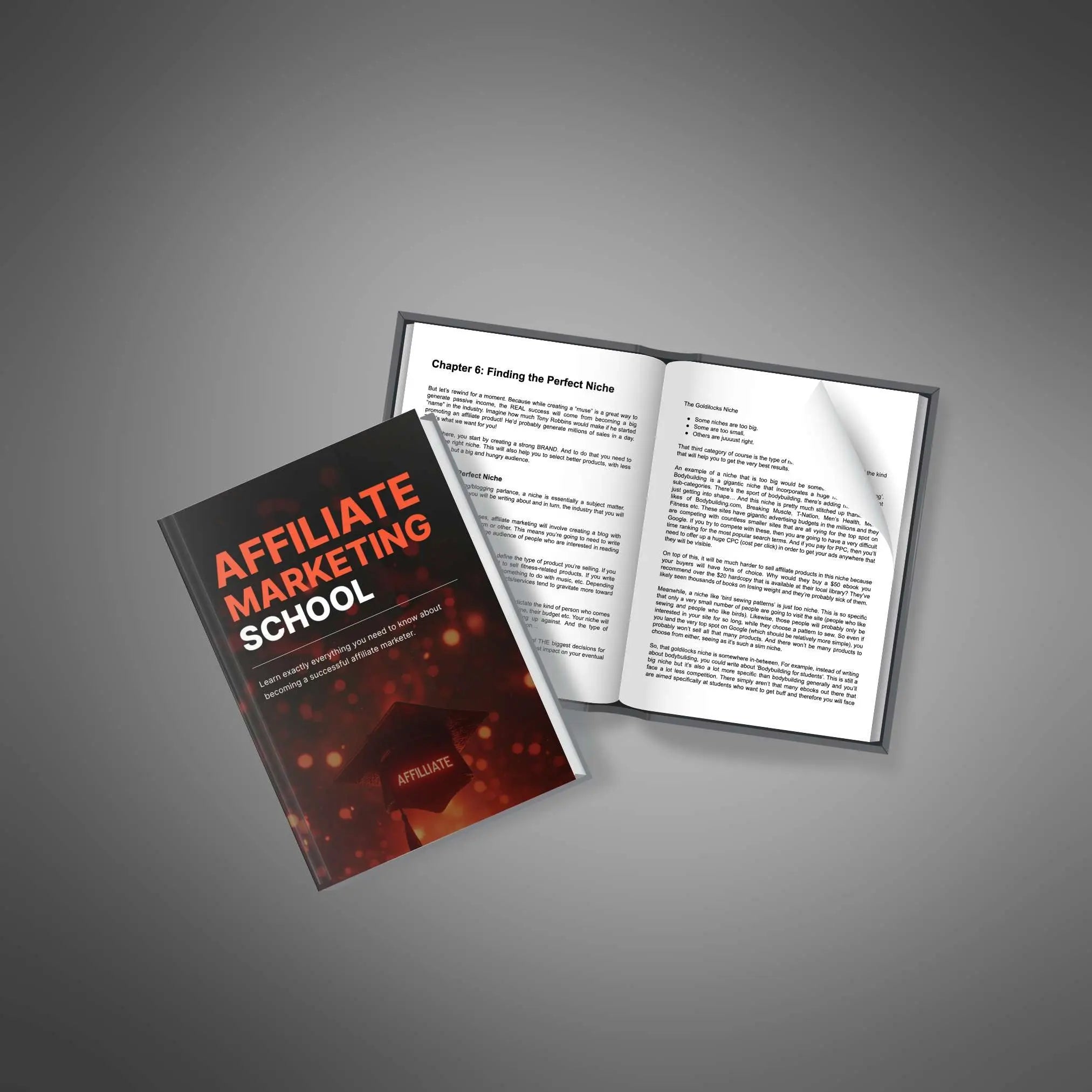 Affiliate Marketing School Courses Find